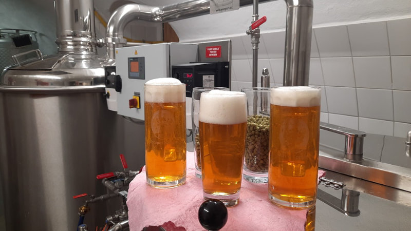 Wieder Wolgaster Helles in Flaschen